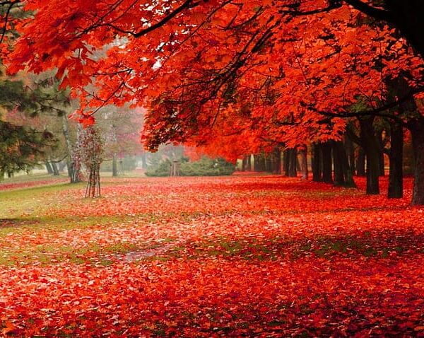 Autunno
